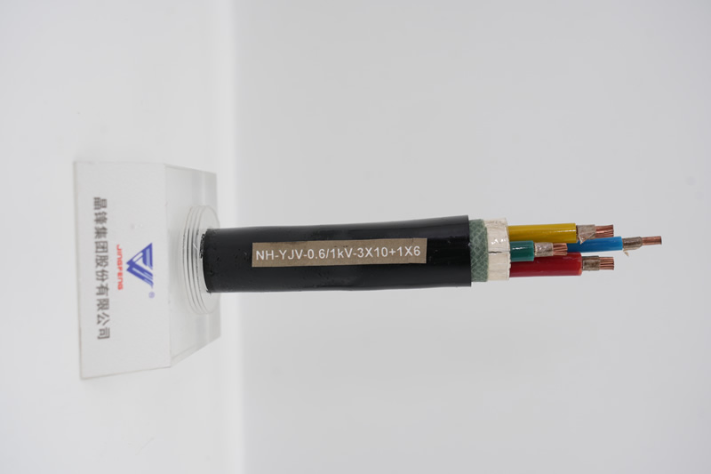 �������� NH-YJV-0.6/1KV-3*10+1*6